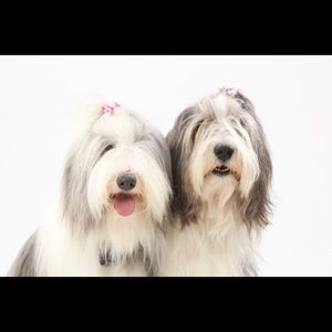 Meet your Posher, Tiffani